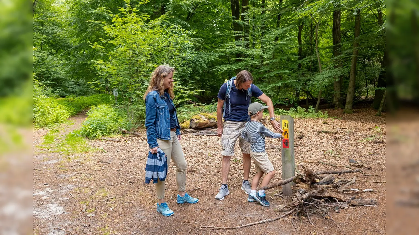 Gut gepflegte Rundwanderwege laden im Naturpark Reinhardswald zum Naturgenuss ein. Dafür bedarf es die Unterstützung der Wegepaten. <br> (Foto: Naturpark Reinhardswald e.V./ visitnordhessen )