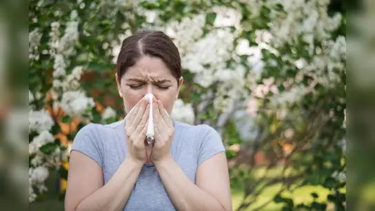Mit den frühlingshaften Temperaturen fliegen bereits die ersten Pollen und eröffnen für Allergiker im Kreis Höxter die Leidenszeit. (Foto: AOK/hfr. )