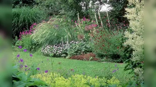 Üppige blühendes Beet trotz trockener Sommer. (Foto: H. Gröne)