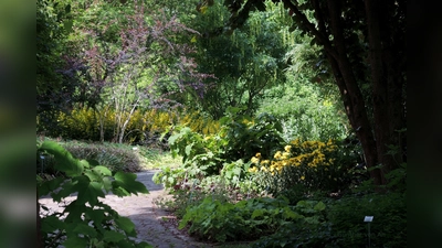 Im Botanischen Garten wechseln schattige Plätze und sonnige Wiesen einander ab. Ob Informationssystem oder Führung: Interessantes zu Natur und Garten ist hier immer zu finden und diesen Samstag auch Erholung und Gemeinschaft. (Foto: Günther von Ah)