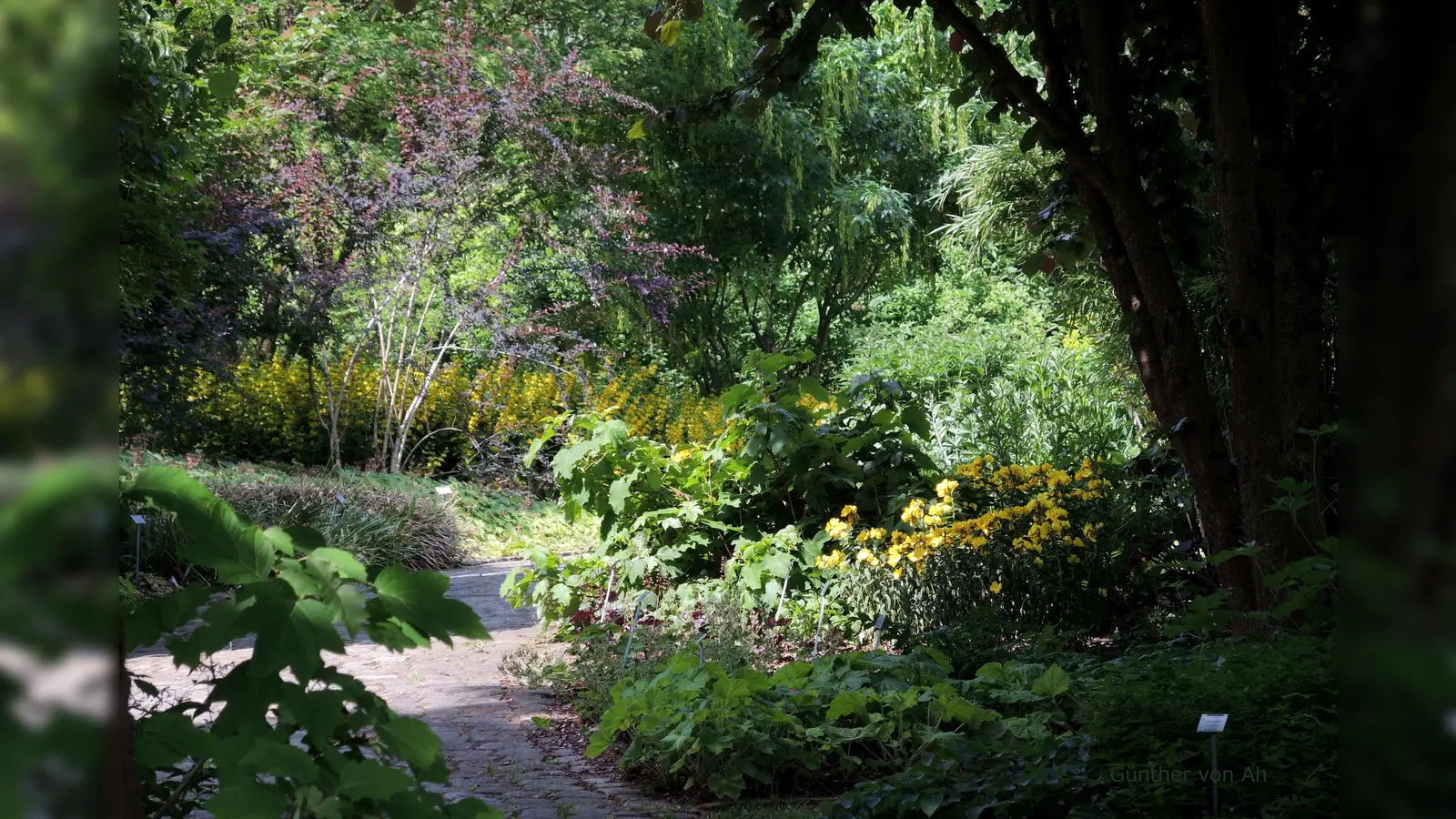 Im Botanischen Garten wechseln schattige Plätze und sonnige Wiesen einander ab. Ob Informationssystem oder Führung: Interessantes zu Natur und Garten ist hier immer zu finden und diesen Samstag auch Erholung und Gemeinschaft. (Foto: Günther von Ah)