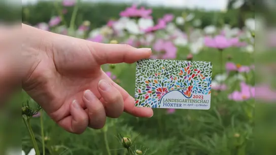34.000 Dauerkarten hat die Landesgartenschau Höxter inzwischen verkauft. Bis Montag, den 29. Mai, gibt es die Dauerkarte noch rabattiert. Danach endet die Aktion. (Foto: privat)