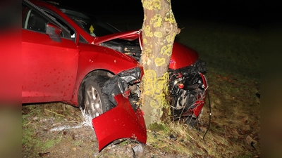 Verunfallter Seat. (Foto: Polizei Kreis Höxter)