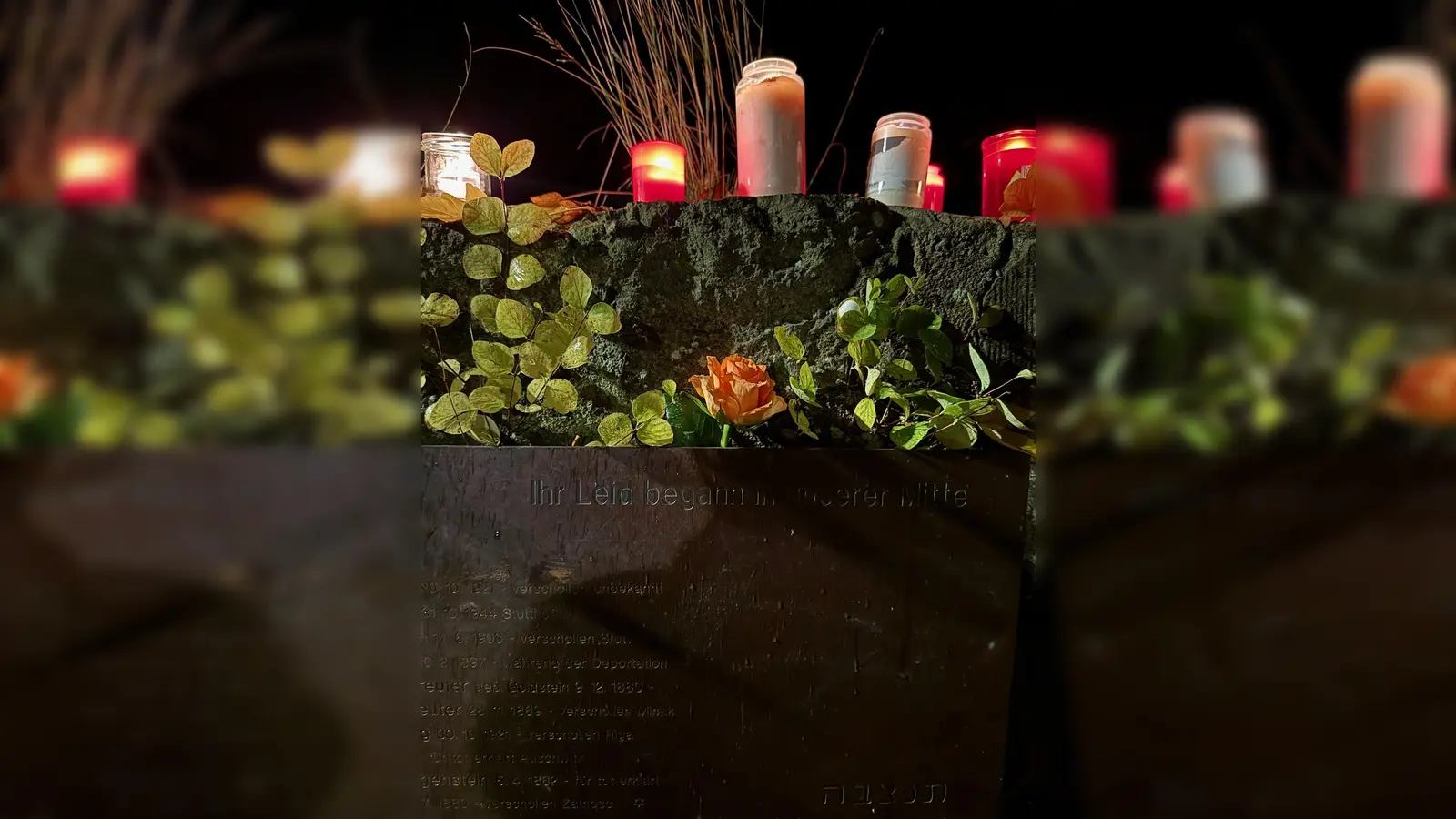 Rosen und Kerzen am jüdischen Friedhof am Emil-Herz-Platz. Ein Eindruck von der Gedenkveranstaltung 2025  (Foto: Valeria Geritzen)
