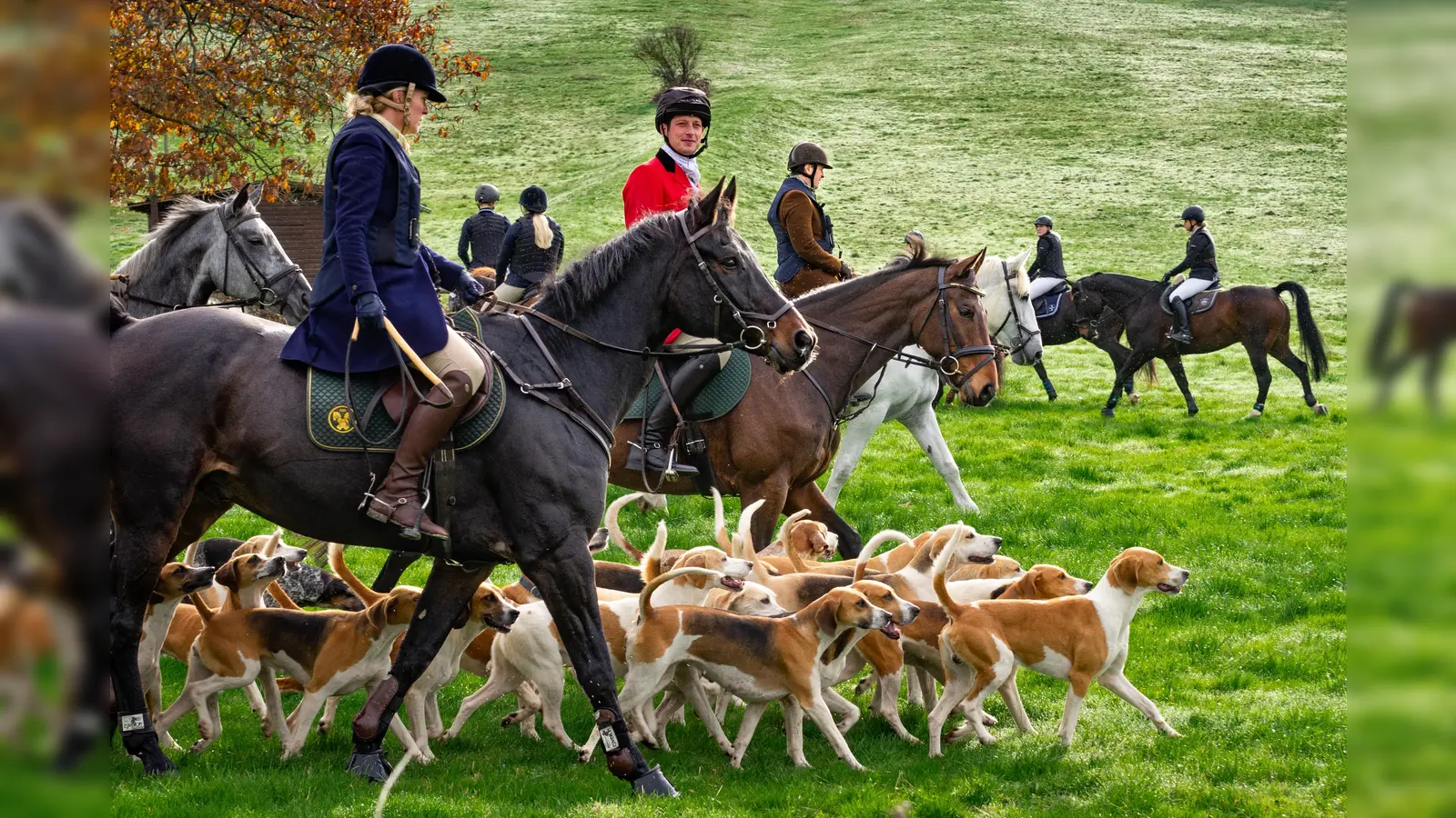 Bei der Hubertus-Reitjagd zeigen Pferd, Reiter und Hund ihr Können. (Foto: Andreas Rissel)