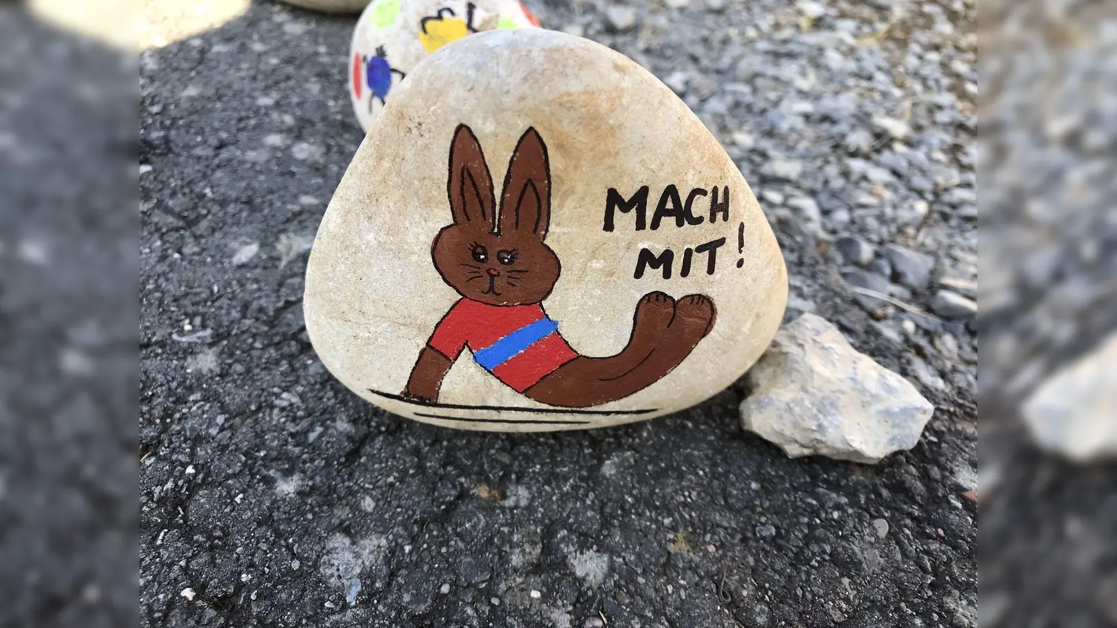 Bunt bemalte Steine zieren den Radweg. (Foto: Foto: TV Dalhausen)