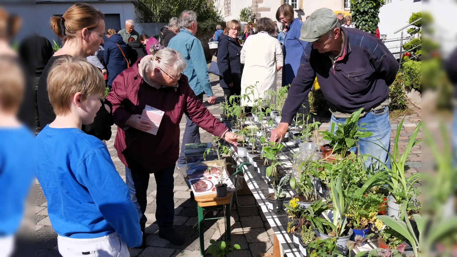 Beim Pflanzenflohmarkt am Steinernen Haus gibt es wieder ein breites Angebot an seltenen Pflanzen zu entdecken. (Foto: Bürgerinitiative Lebenswertes Bördeland und Diemeltal e.V.)