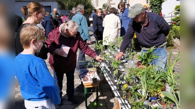 Beim Pflanzenflohmarkt am Steinernen Haus gibt es wieder ein breites Angebot an seltenen Pflanzen zu entdecken. (Foto: Bürgerinitiative Lebenswertes Bördeland und Diemeltal e.V.)
