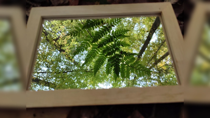 Waldbaden in der Solling-Vogler-Region. (Foto: Birgit Heimann)