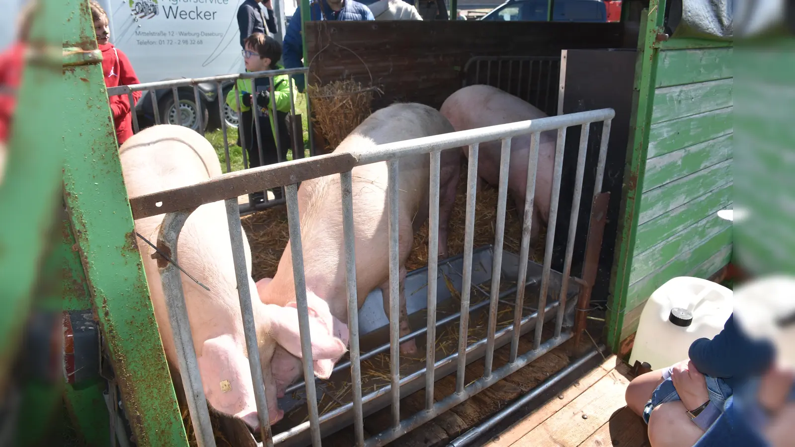 Eindrücke vom Hoffest (Foto: Barbara Siebrecht)