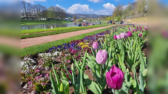 Landesgartenschau in Höxter (Foto: LGS Höxter 2023/Madita Schellenberg)