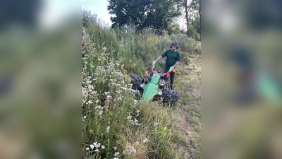 Pflege von Wildstauden im Bereich der Weserscholle. (Foto: Stadt Höxter)