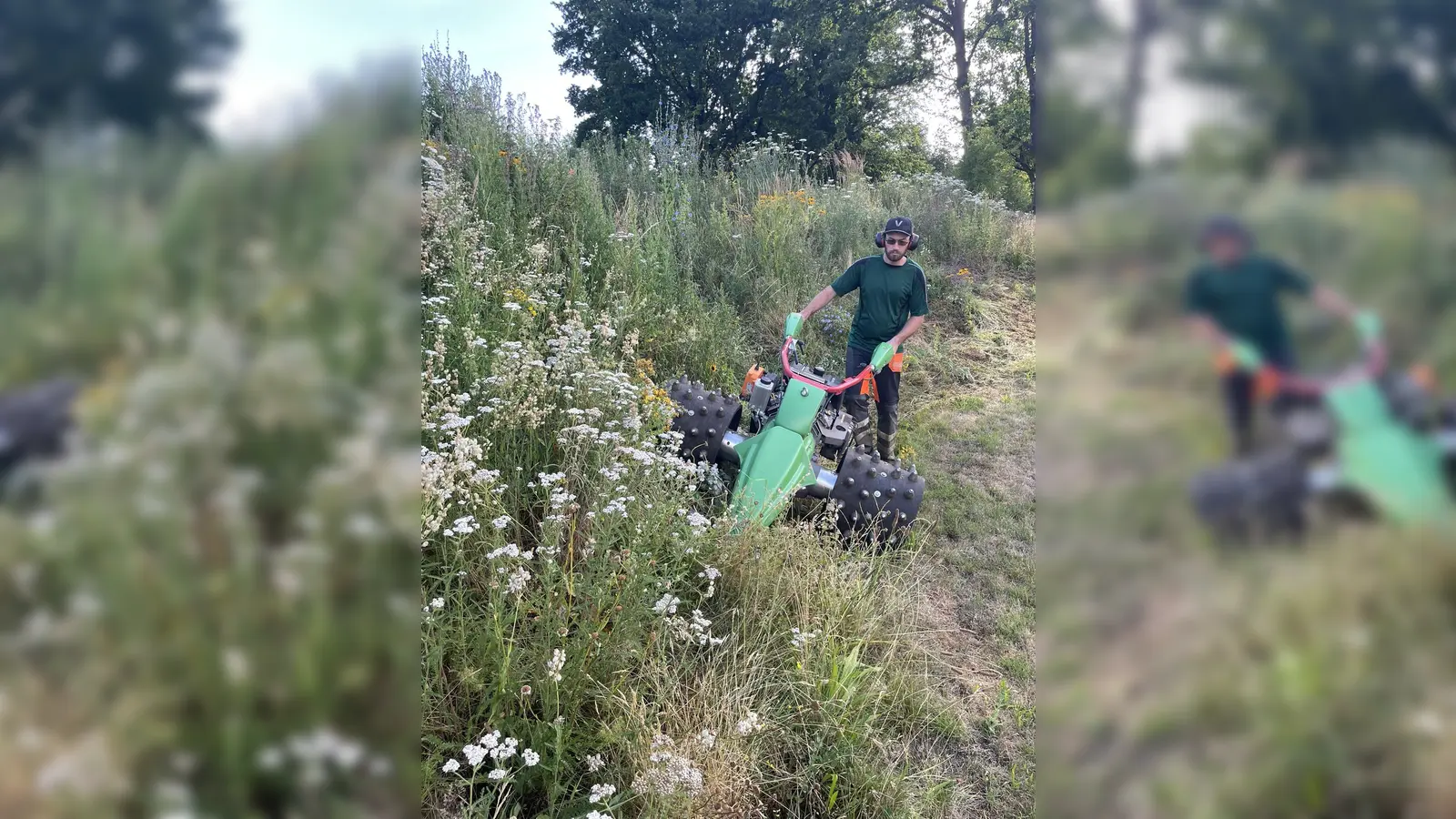 Pflege von Wildstauden im Bereich der Weserscholle. (Foto: Stadt Höxter)