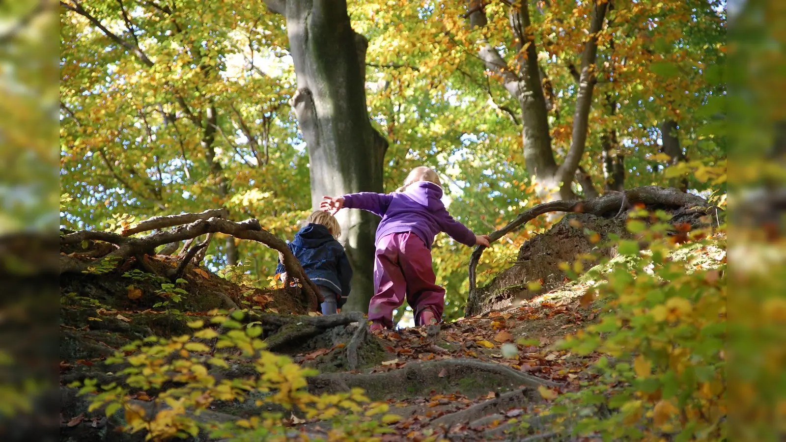 Abenteuer in der freien Natur erleben. (Foto: Pixabay)