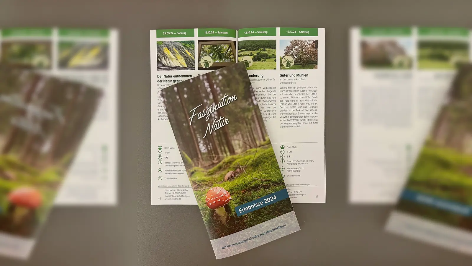 Die neue Broschüre Faszination Natur 2024. (Foto: SVR)