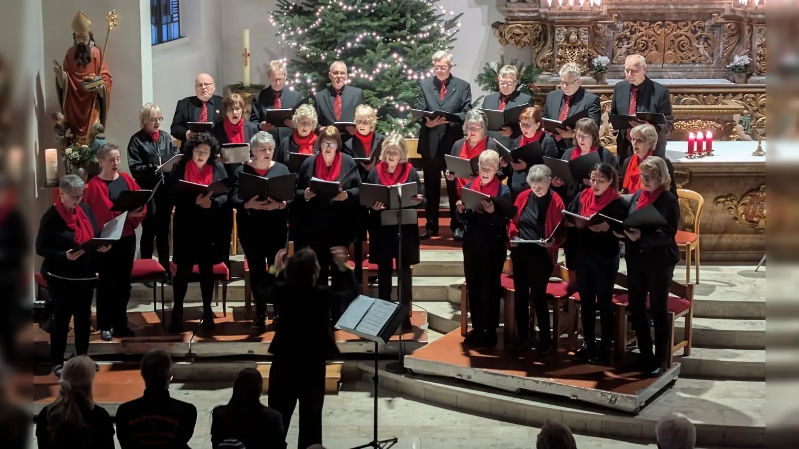 Gemeinsam mit dem Musikverein Auenhausen, dem Natzunger Musikensemble führte der Gesangverein Natzungen (hier im Bild) wieder ein Weihnachtskonzert in Natzungen auf. (Foto: privat)