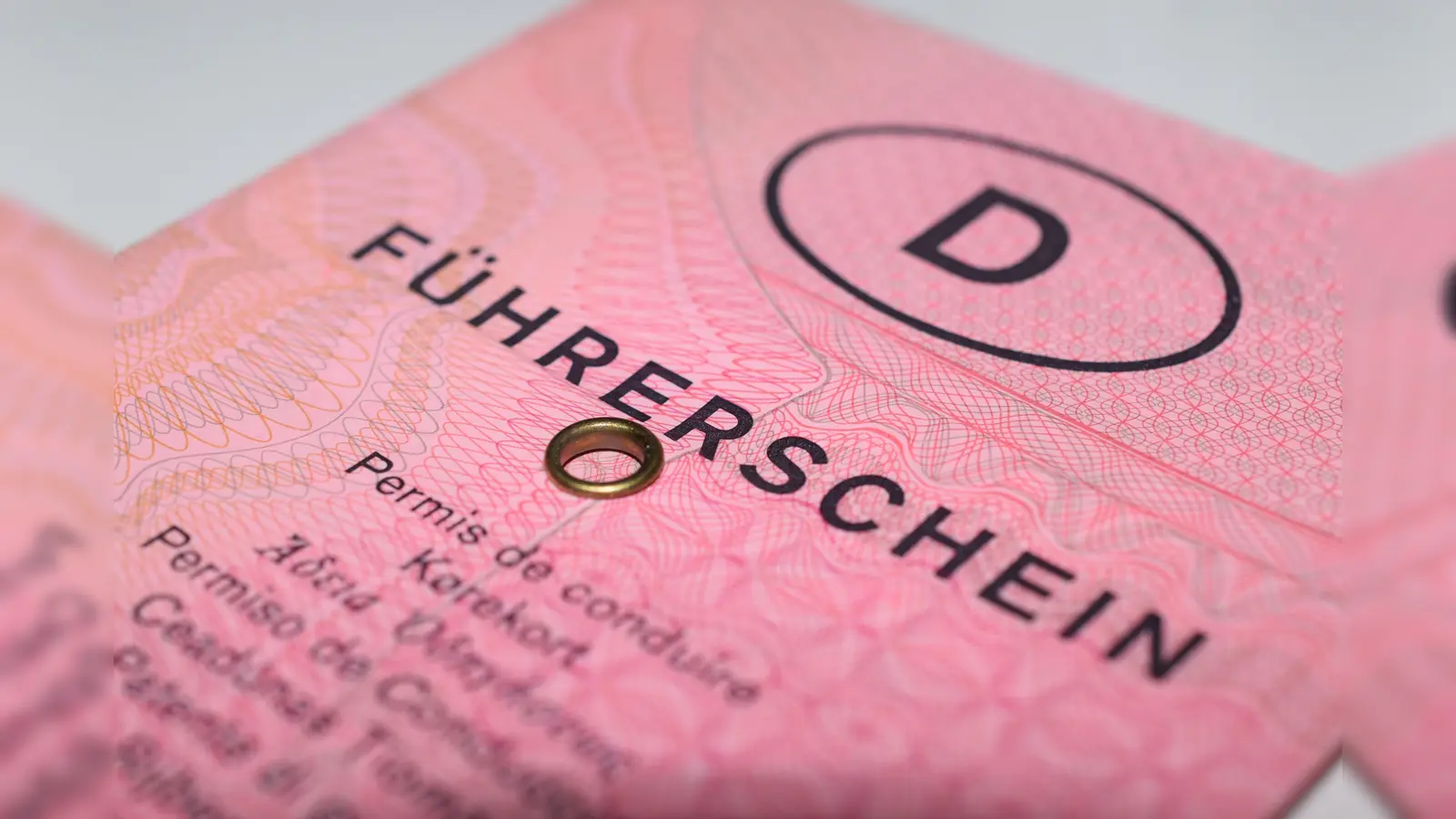 Über 700 Umtauschanträge in Führerscheinstelle: längere Bearbeitungszeiten beim Landkreis. (Symbolbild: Pixabay)