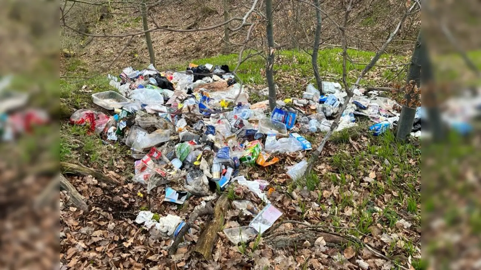 Illegale Müllentsorgung im Wald. (Foto: Forstamt Reinhardshagen)