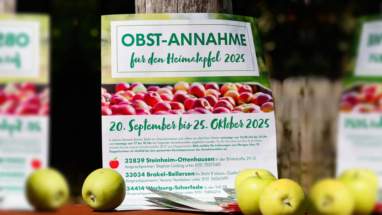 Die Plakate und Flyer weisen auf die Obstannahme von Äpfeln hin. (Foto: Christiane Sasse)