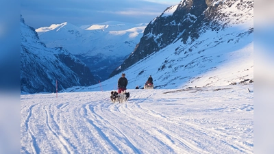 Nordische Landschaft mit Hundeschlitten (Foto: Lukas Sommer)