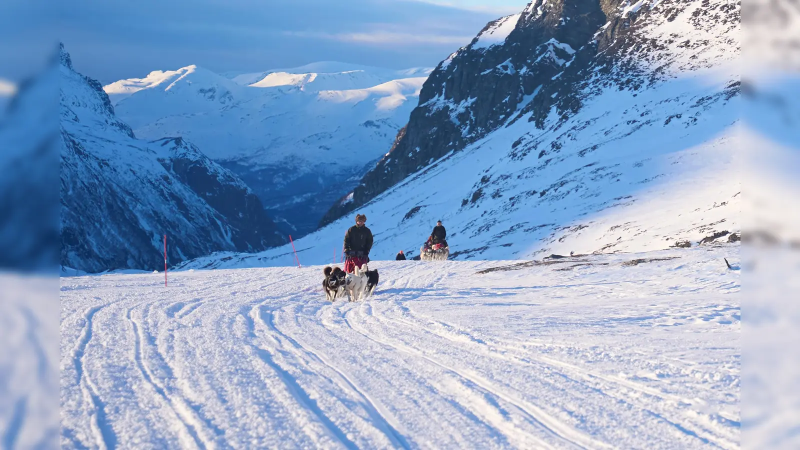 Nordische Landschaft mit Hundeschlitten (Foto: Lukas Sommer)
