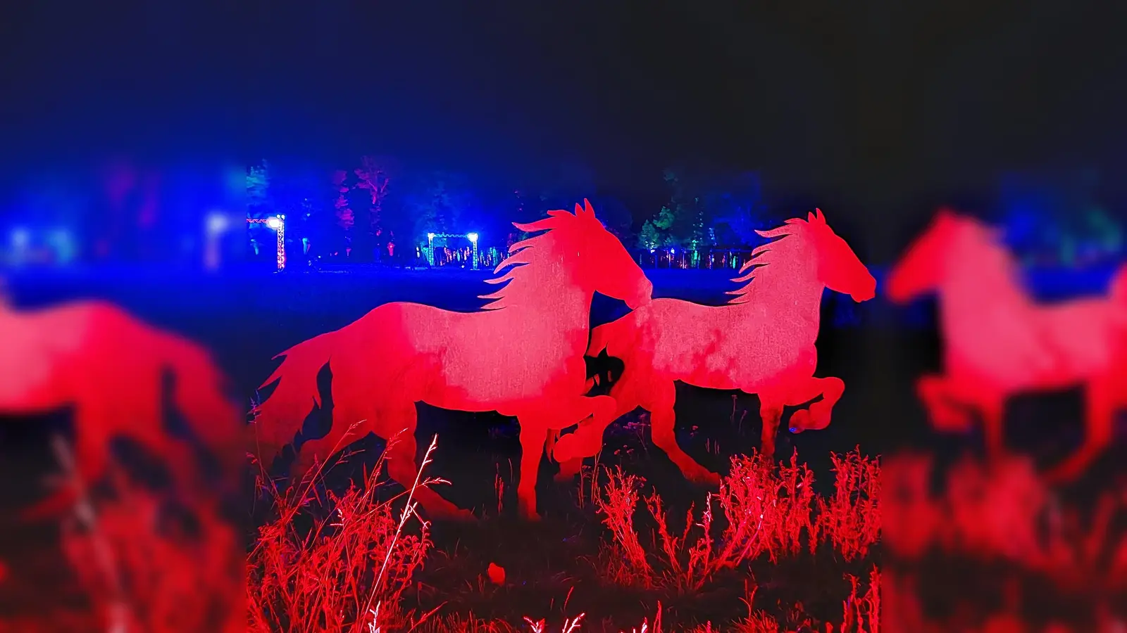 Fotoreise zur LGS 2023. (Foto: privat)