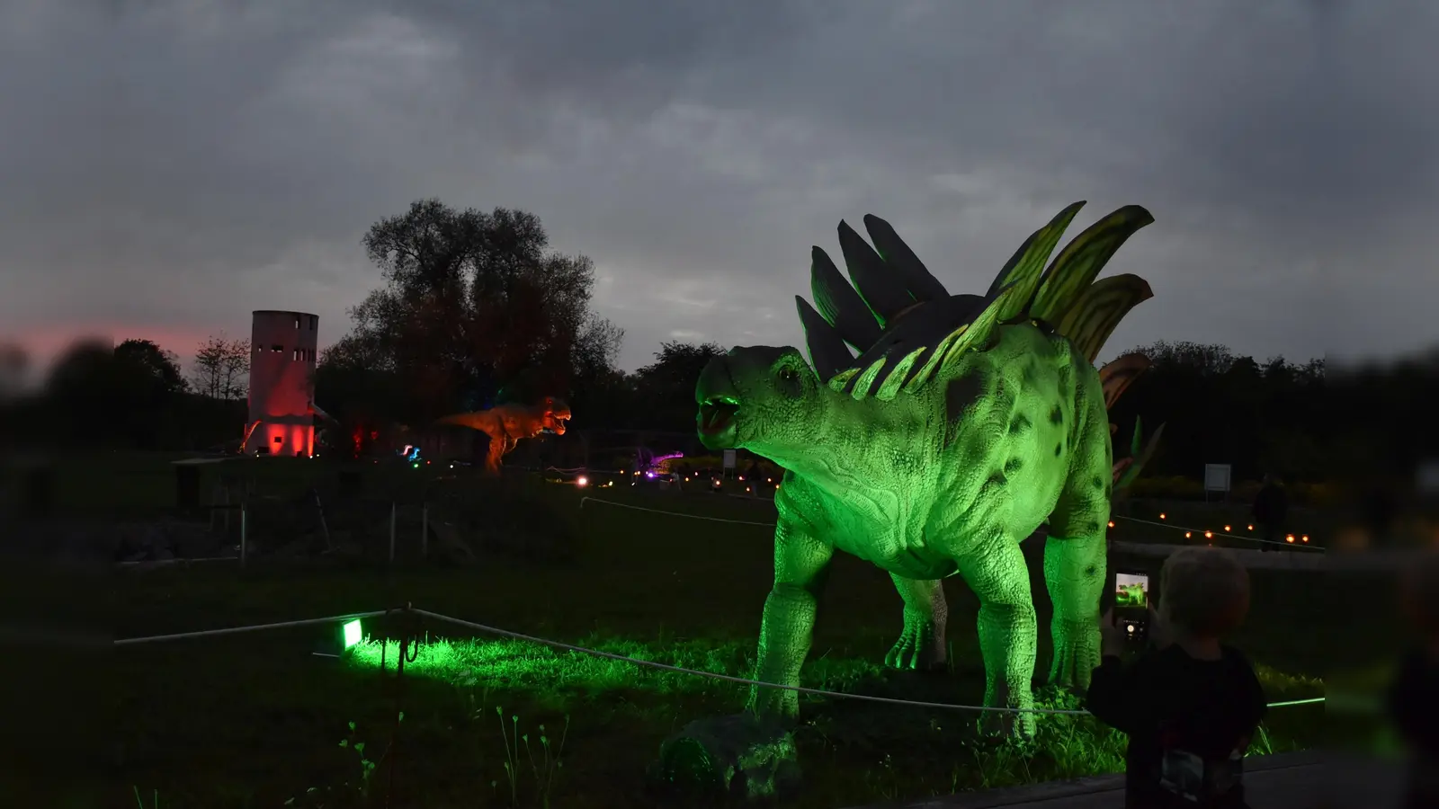 In der Dunkelheit besonders empfehlenswert: Der Stegosaurus und seine 26 Dino-Kollegen im Archäologiepark Höxter sind mit Lichtern in Szene gesetzt. (Foto: Huxarium Gartenpark Höxter)
