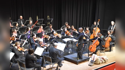 Kinderkonzert „Von Vogelrufen und Violinen” (Foto: Barbara Siebrecht)