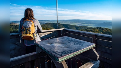Hoch hinaus – der Ebersnacken-Turm bietet einen spektakulären Blick über die Wilde Heimat. (Foto: 2021_Wandern_WilderVogler_SVR_www.mitzkat.de-2_7359977)