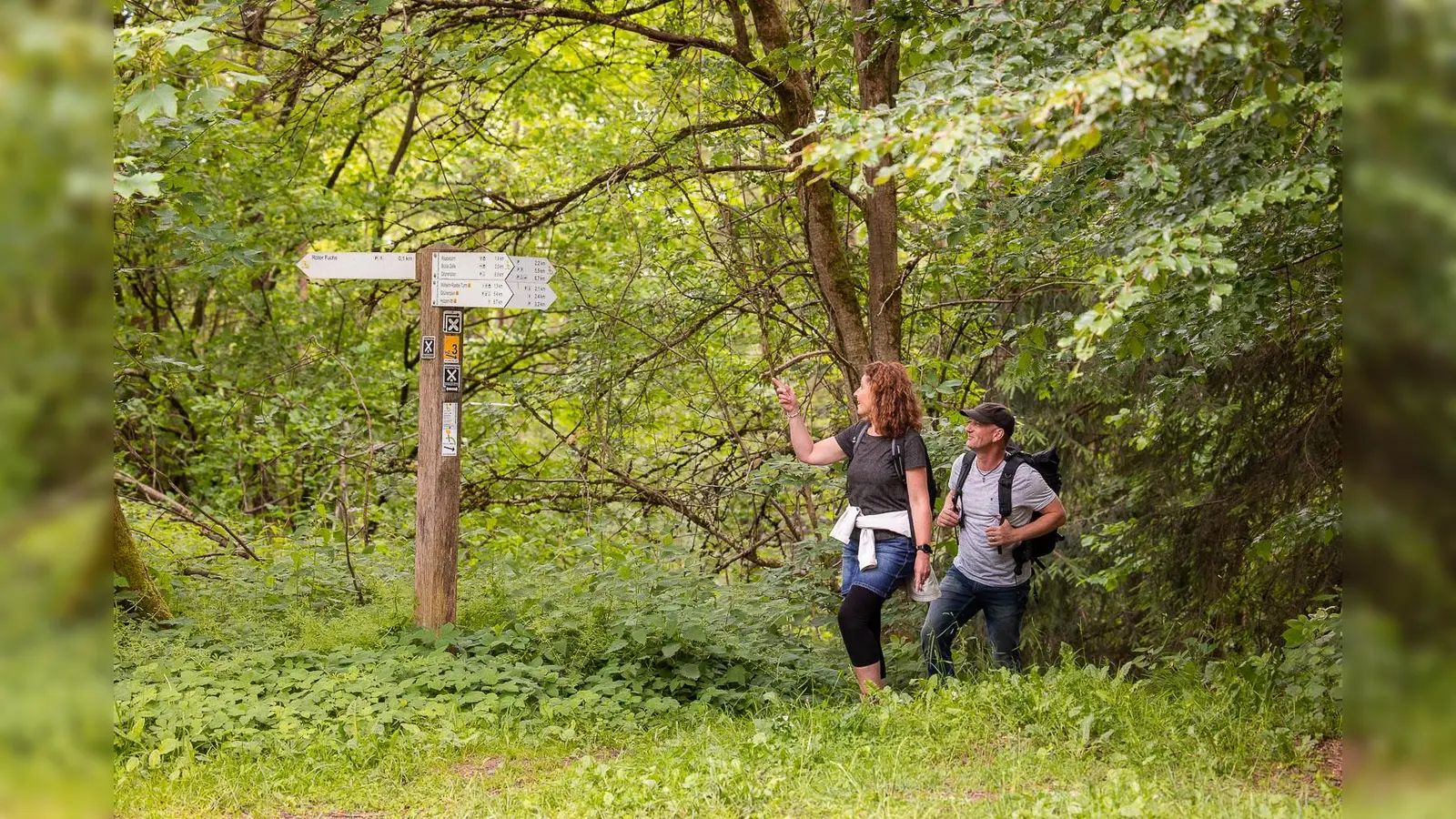 Beschilderung auf den Wanderwegen der SVR. (Foto: SVR / Körner/Paeslack)