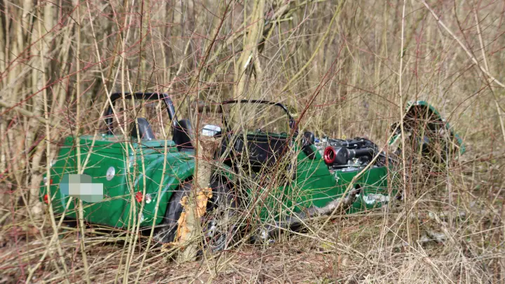 Sportwagen im Gebüsch (Foto: Polizei)