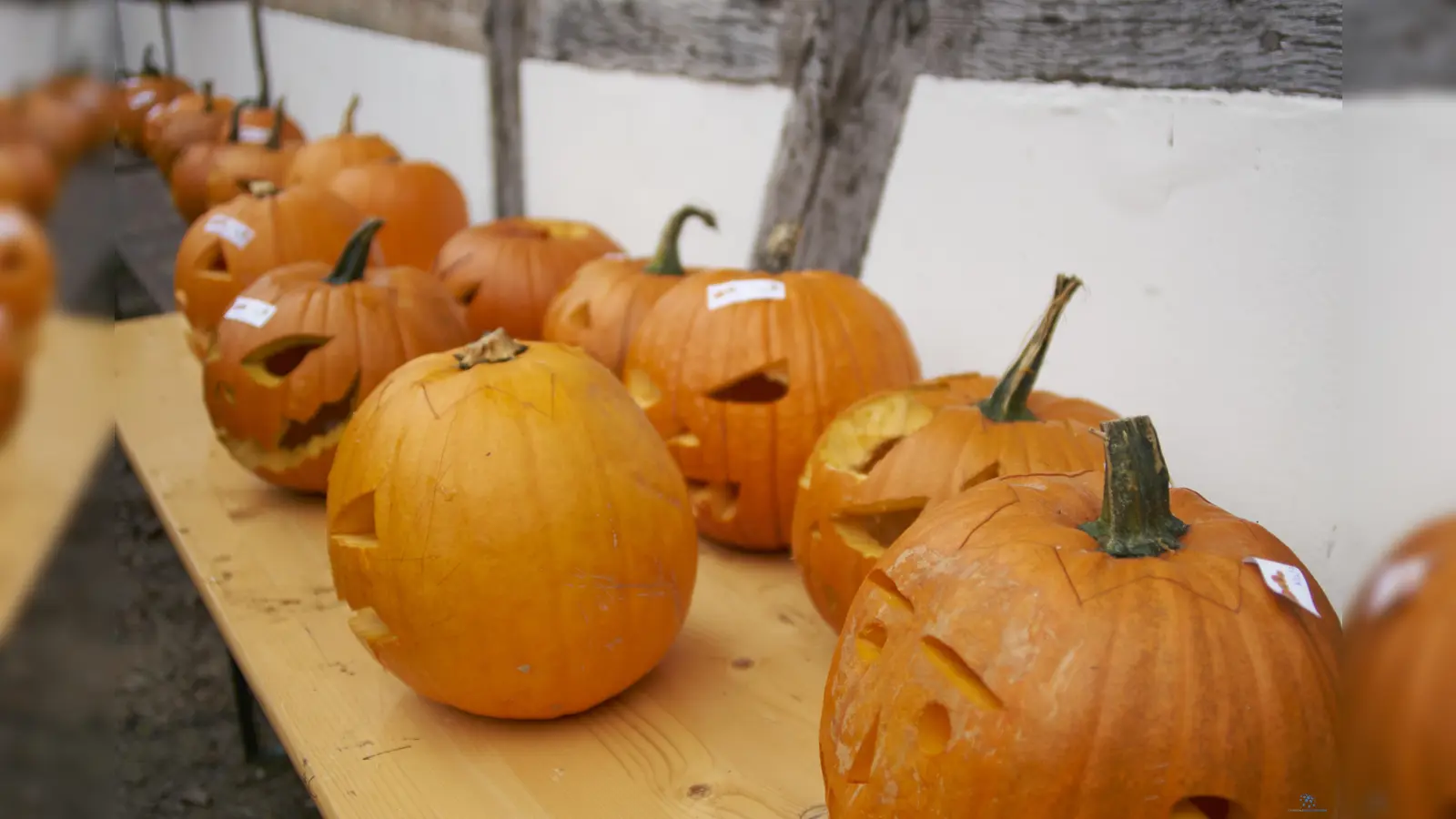 Kürbisgesichter leuchten zu Halloween. (Foto: Stefan Boenning)