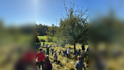 Das Familienforum in Borgentreich hat auf den städtischen Streuobstwiesen Äpfel gesammelt. (Foto: privat)