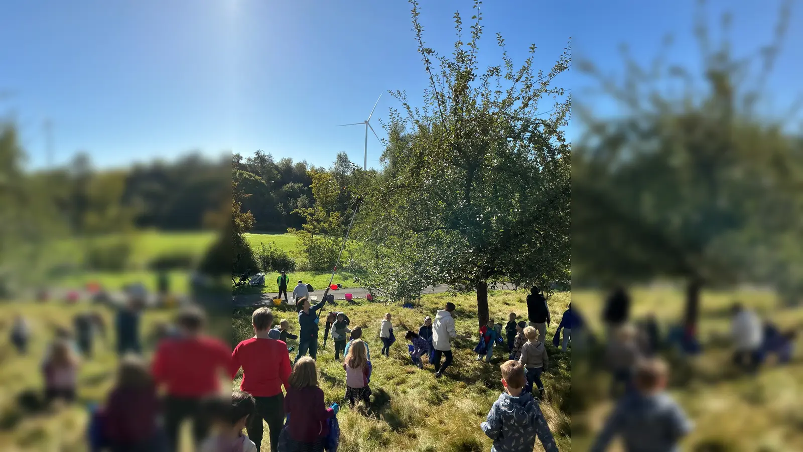 Das Familienforum in Borgentreich hat auf den städtischen Streuobstwiesen Äpfel gesammelt. (Foto: privat)