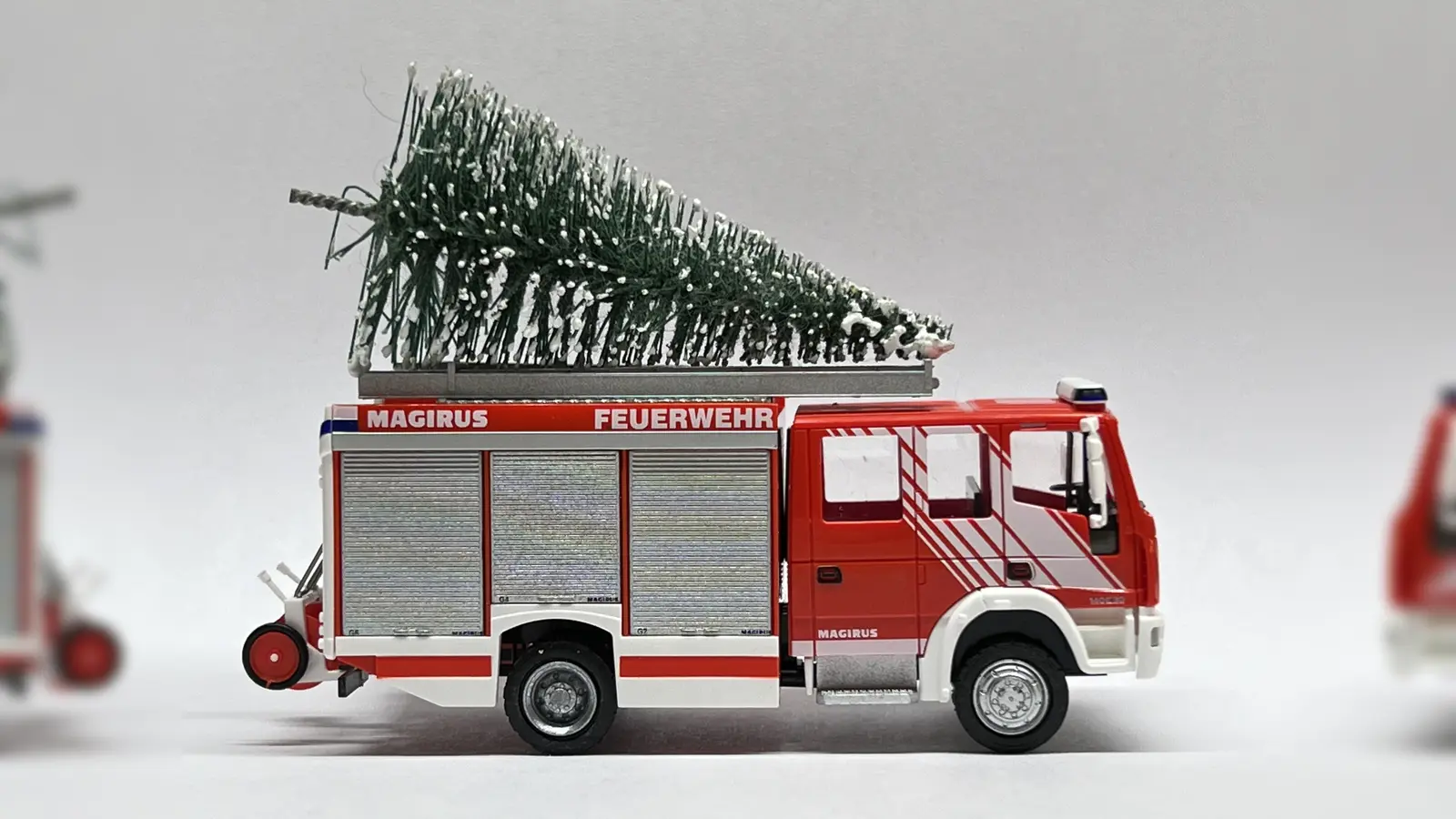 Tannenbaumsammlung durch die Jugendfeuerwehr (Foto: Alexander Bönning)