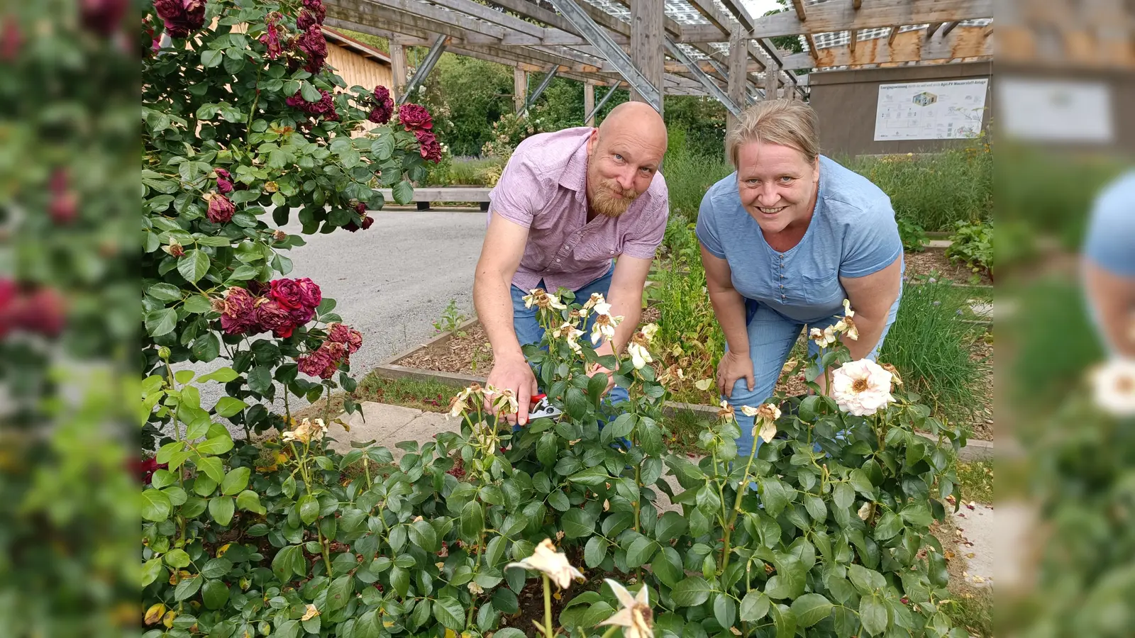 Im vergangenen Sommer fand bereits ein ähnlicher Kurs statt, hier Teilnehmende bei der praktischen Schnittübung. (Foto: Huxarium Gartenpark Höxter)