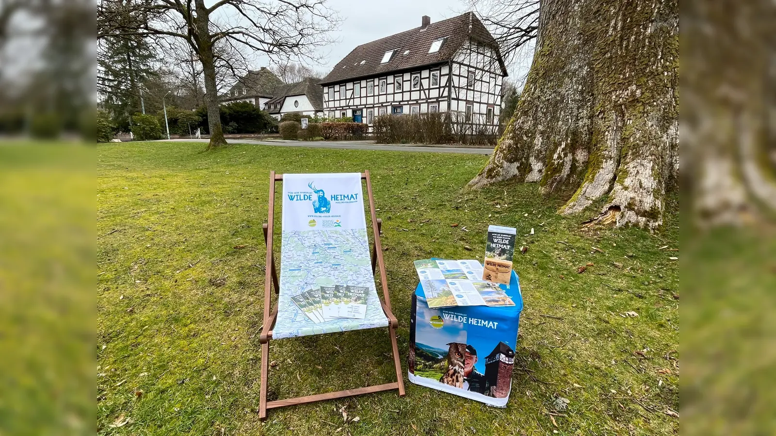 Der neue Wanderflyer stellt die besten Wandertouren im Solling vor. (Foto: SVR)