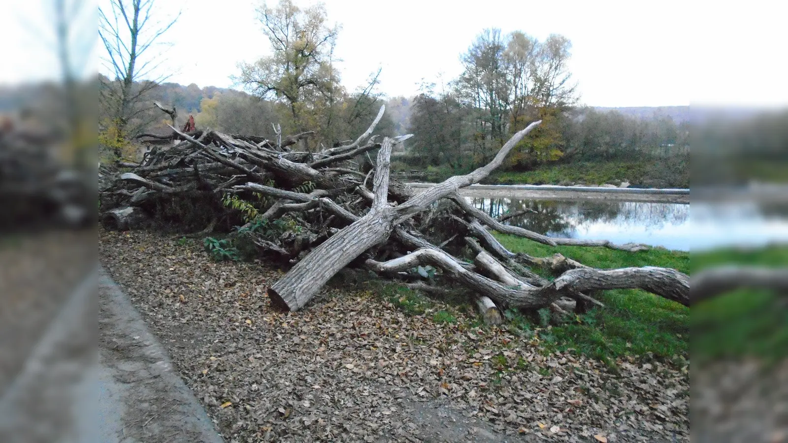 Treibholz und Autoreifen am Diemelwehr. (Foto: Foto: Willi Steinbrecher)