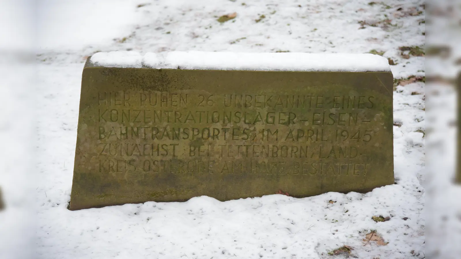 Gedenkstein. (Foto: privat)