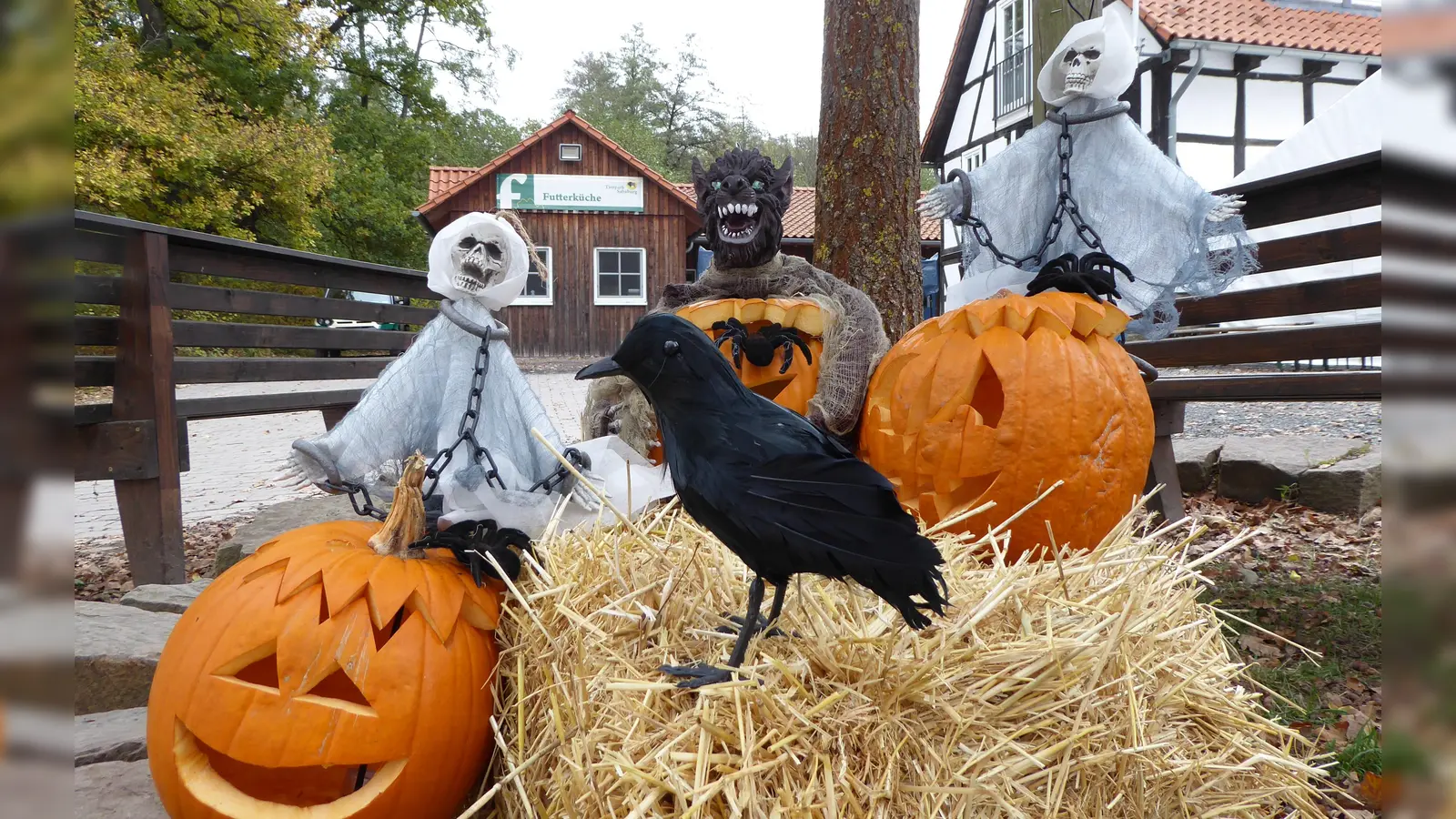 Gruseln an Helloween im Tierpark Sababurg. (Foto: Tierpark Sababurg)