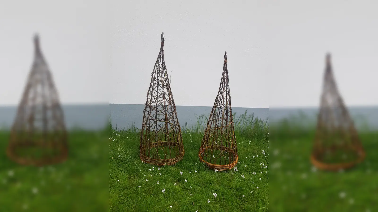 Rankhilfe aus Weide. (Foto: privat)