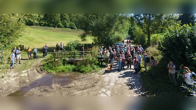 Auf großer Tour am Ith-Hils-Wandertag. (Foto: SVR e.V.)