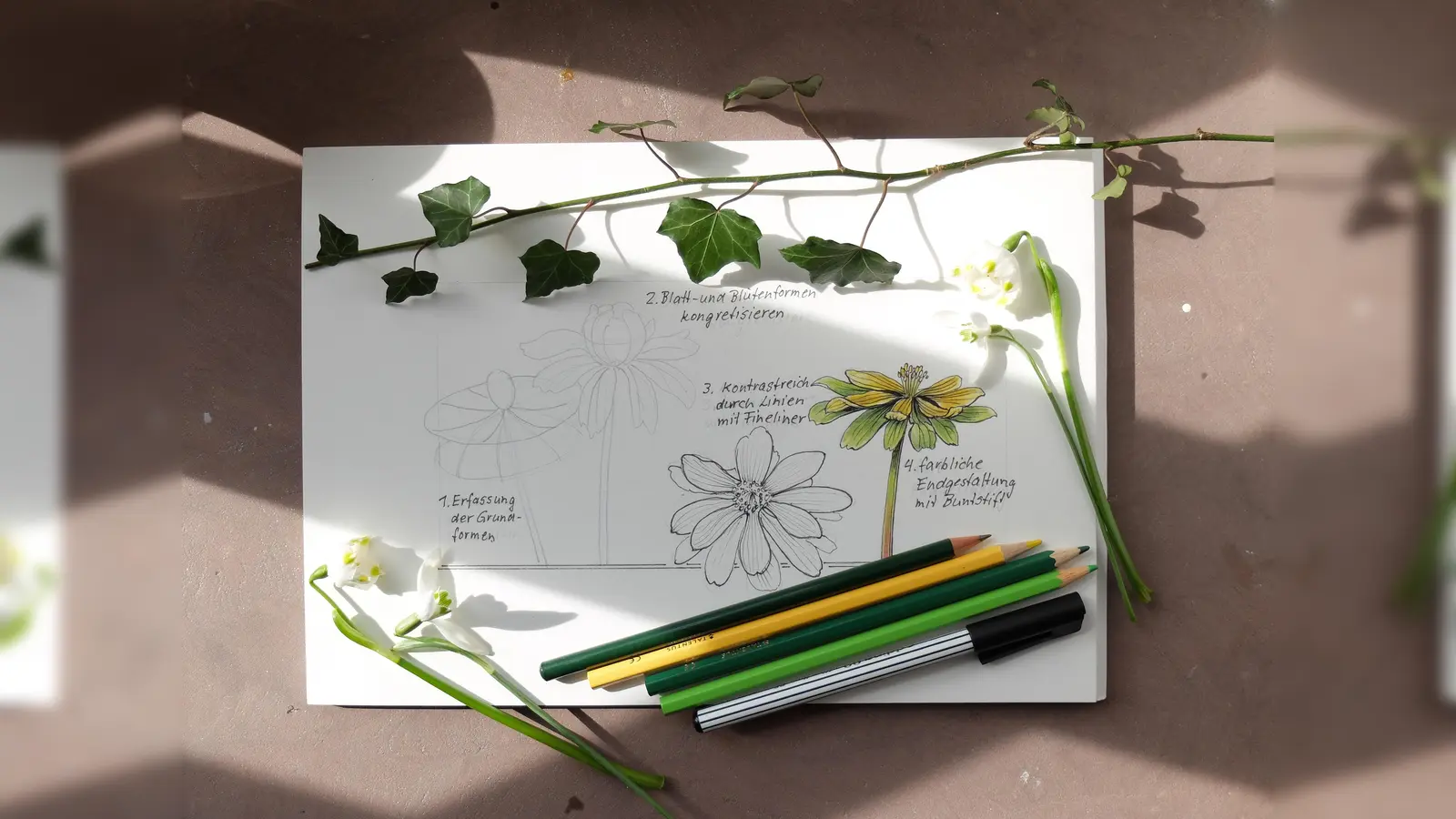 Sneak peek auf den Frühling. (Foto: privat)