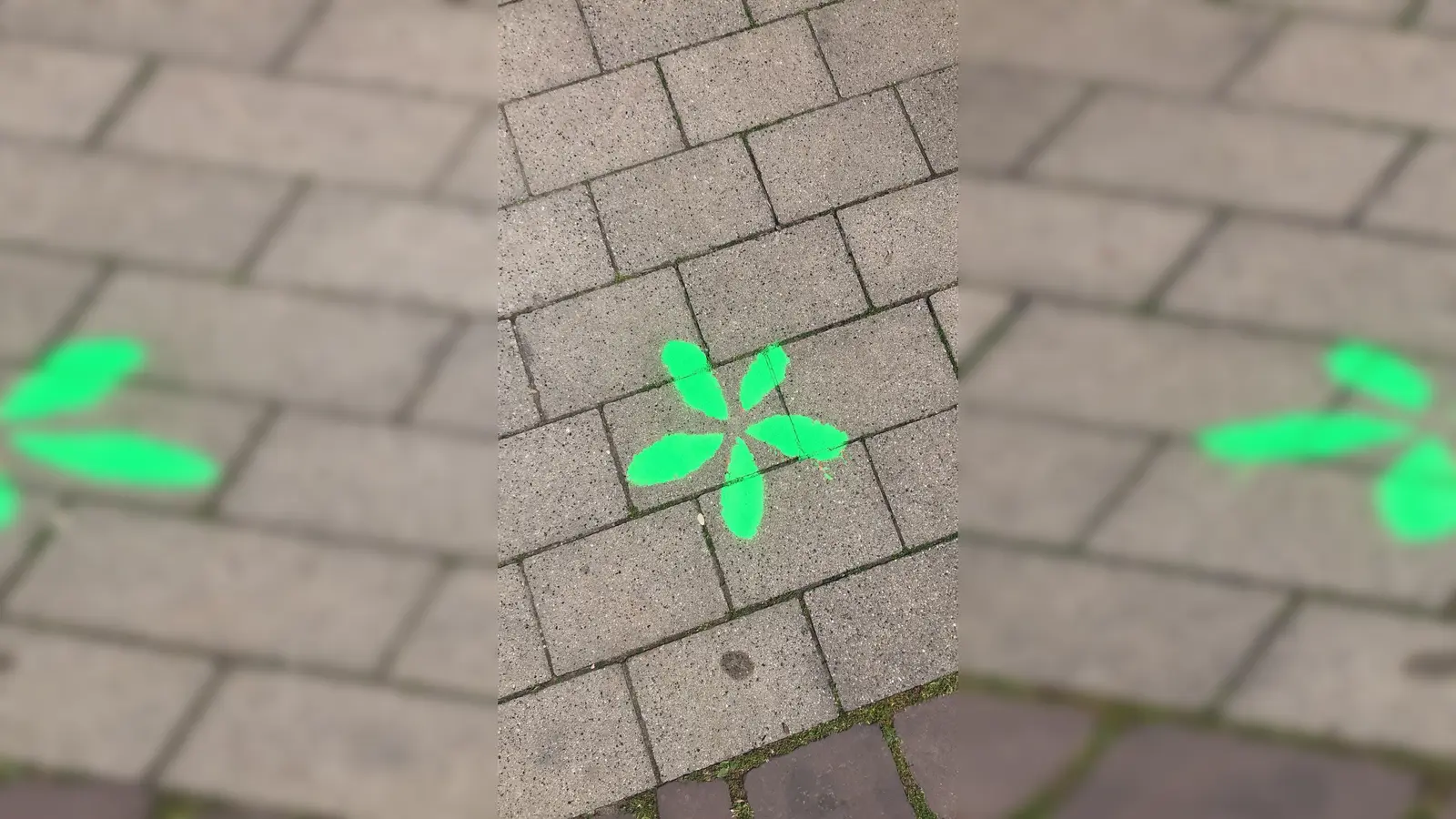 Verschiedenfarbige Blumen-Spuren sollen Gästen bei der Orientierung helfen. (Foto: privat)
