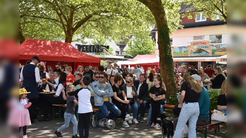 Eindrücke vom Blütenfest 2026 (Foto: Barbara Siebrecht)