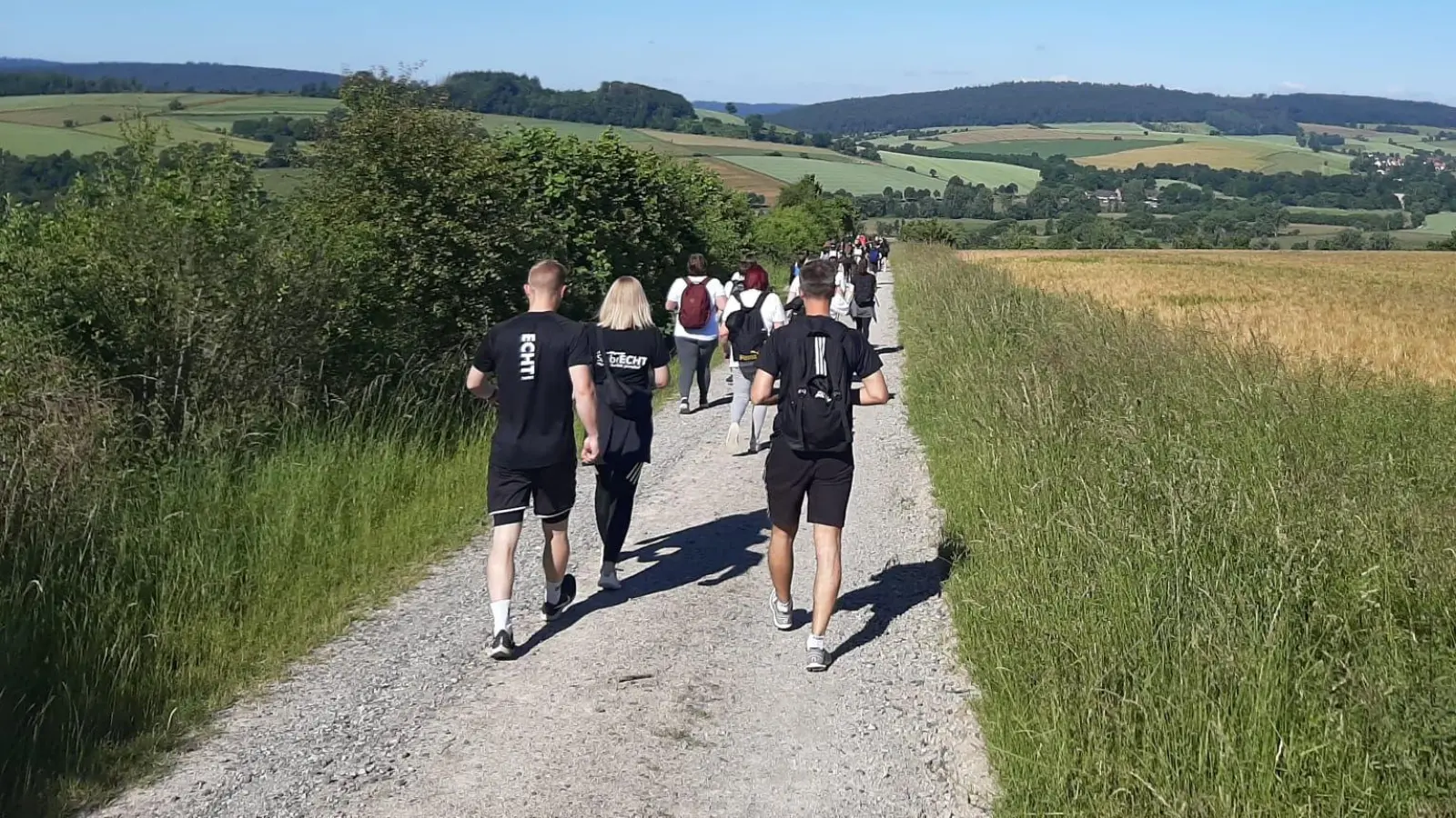 Die idyllischen Waldwege des Sollings laden am 18. Mai 2025 zum 7. Bollenser Wandermarathon ein. (Foto: SVR/TSV_Bollensen)