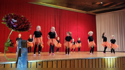 Auftritt der Tanzgruppe Kurios beim letzten Tag der Begegnung im Jahr 2023. (Foto: privat)