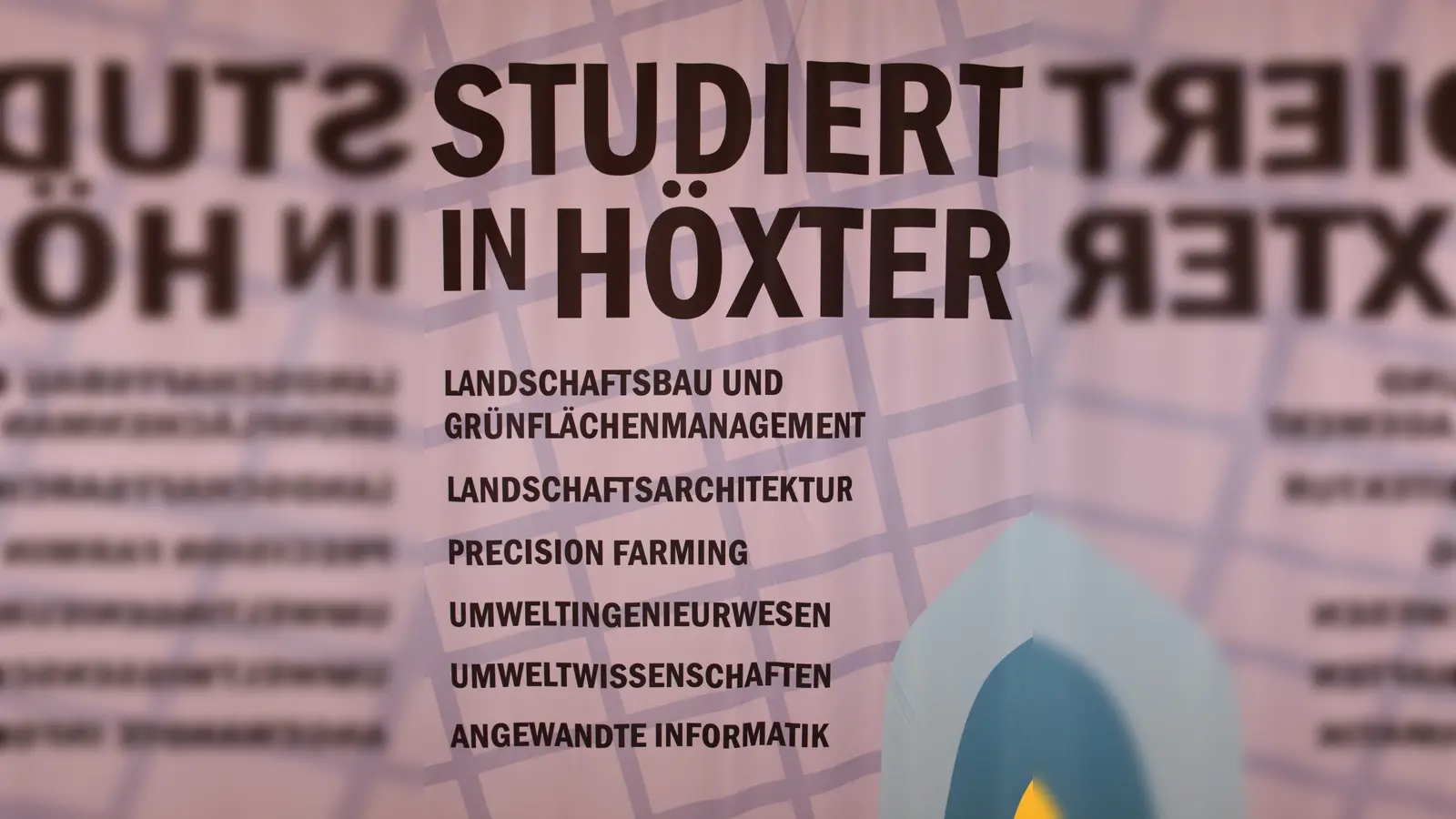 Diese Studiengänge werden am Standort Höxter angeboten. Unterstützer stellten eine Posterausstellung zusammen (Foto: Barbara Siebrecht)