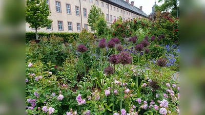 Im Remtergarten am Welterbe Corvey sind viele Sorten zu bewundern. Zum Tag der Gärten und Parks gibt es kostenlose Führungen. (Foto: Huxarium Gartenpark Höxter gGmbH)