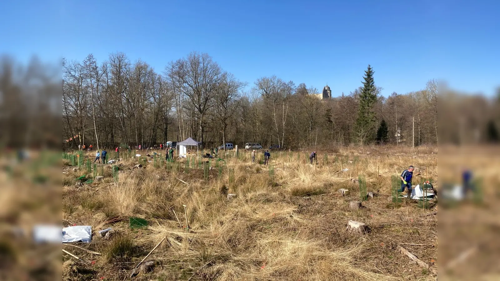 Pflanzaktion von 2022: Viele helfende Hände packten tatkräftig mit an bei der Wiederbewaldung einer Schadensfläche in der Nähe der Sababurg. (Foto: Stefan Bach, Naturpark Reinhardswald)